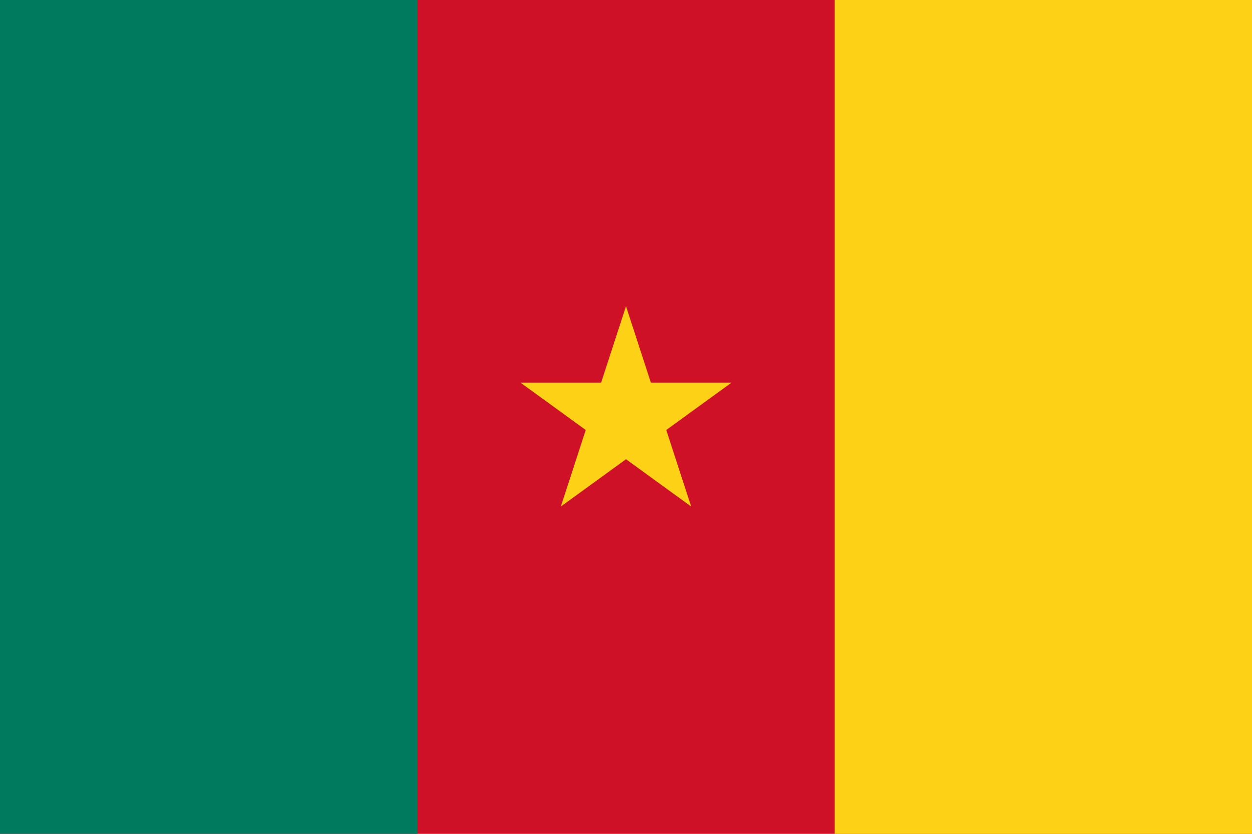 Flag of Cameroon